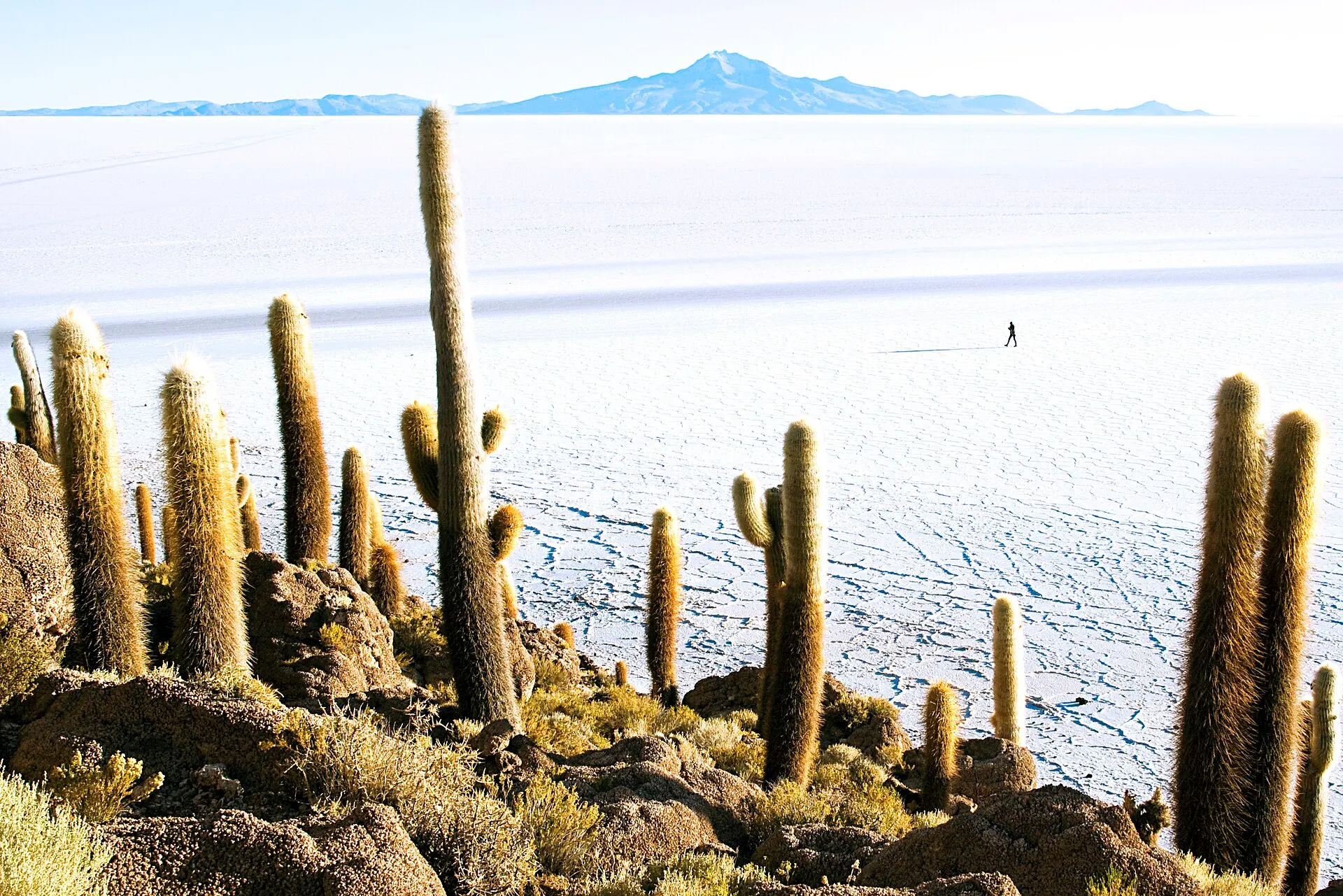 Salar con costra de sal y salmuera rica en litio bajo cielo despejado